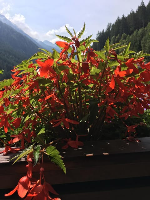 Pension Christophorus Apartment in Neustift im Stubaital