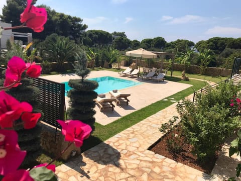Garden, Swimming pool