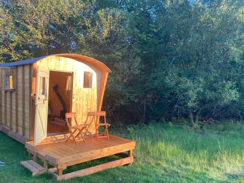 Shepherds Hut on Alpaca and working farm Luxury tent in Trawsfynydd