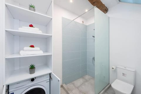 Shower, Toilet, Bathroom, washing machine
