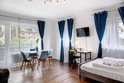 Bed, TV and multimedia, Living room, Photo of the whole room, Seating area, Dining area, Bedroom