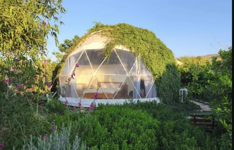 Garden, Bedroom