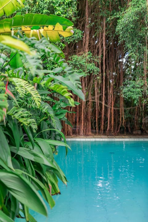 Garden, Pool view, Swimming pool