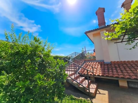 Balcony/Terrace, Garden view