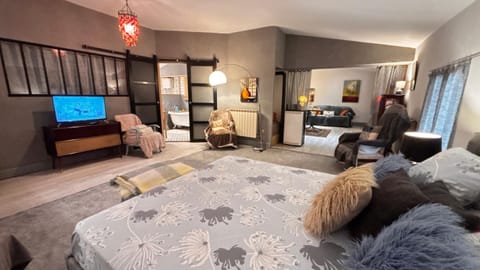 Bed, TV and multimedia, Living room, Photo of the whole room, Bedroom