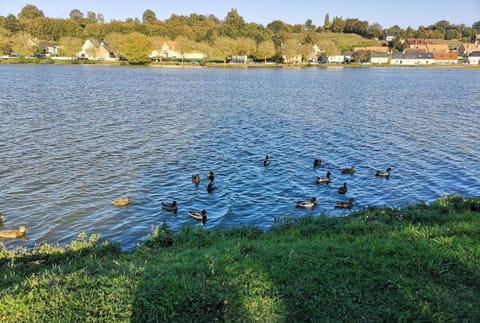 Lake view, River view