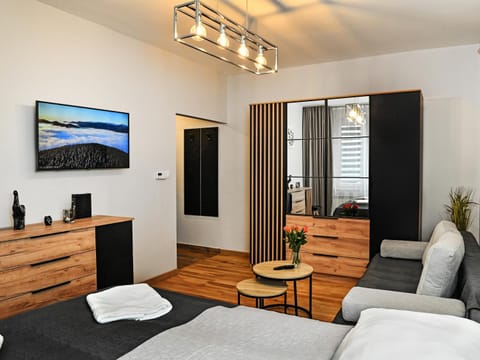 TV and multimedia, Living room, Photo of the whole room, Seating area