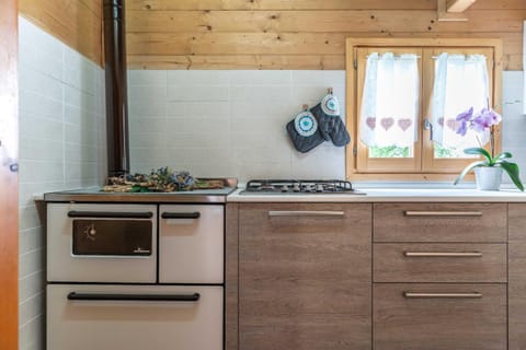 Kitchen or kitchenette, dishwasher, minibar, stove