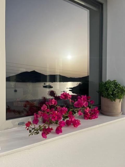 Linardo's Cycladic House House in Naousa