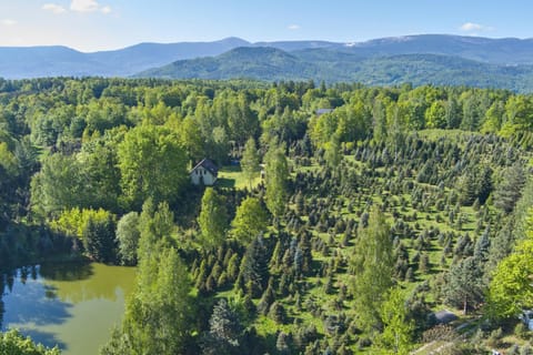Bird's eye view, Mountain view