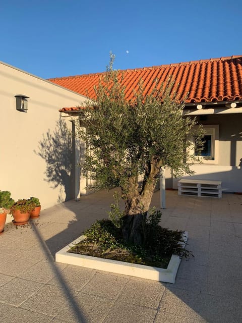 Property building, Patio