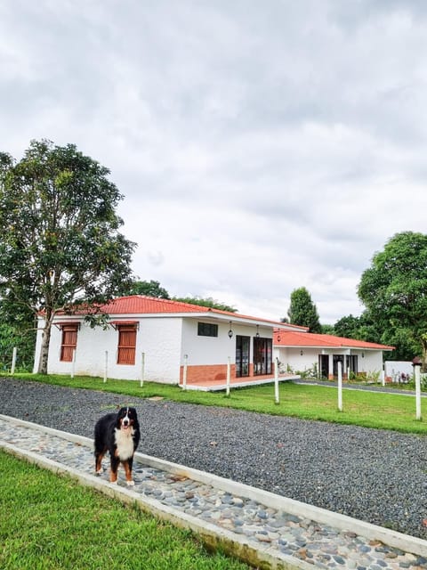 Property building, Natural landscape, Garden, Pets, Garden view