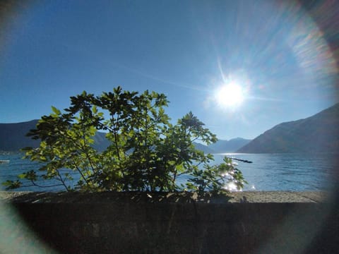 Veronika Apartment in Kotor Municipality