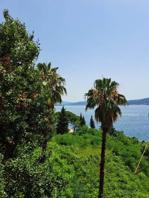 Veronika Apartment in Kotor Municipality