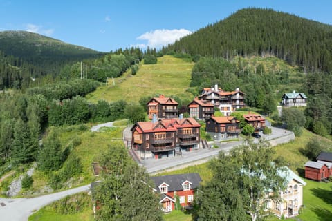 Property building, Neighbourhood, Bird's eye view, Summer
