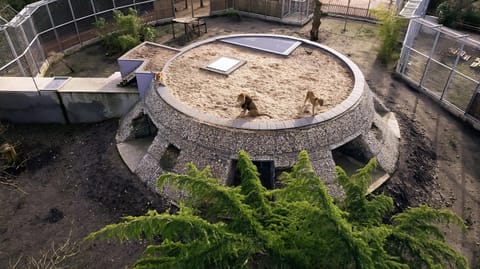 Spring, Day, Bird's eye view, Garden, View (from property/room), Photo of the whole room, Garden view, Landmark view