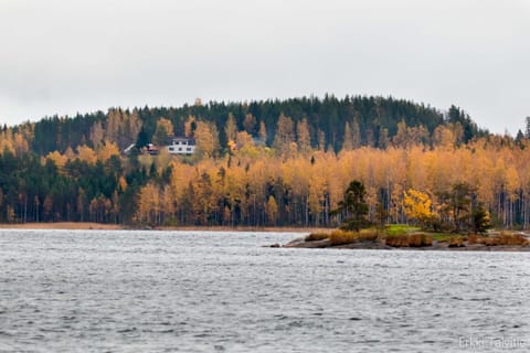 Natural landscape, Lake view