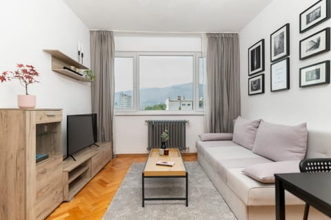 Natural landscape, TV and multimedia, Living room, Mountain view
