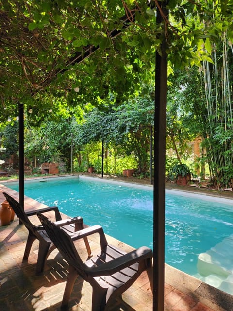 Day, Natural landscape, Garden, Garden view, Pool view, Swimming pool, sunbed