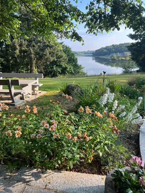 Natural landscape, Garden, Lake view