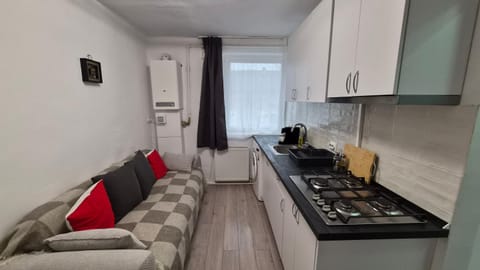 Refugiul Castelului Apartment in Serbia