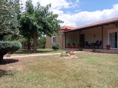 Property view