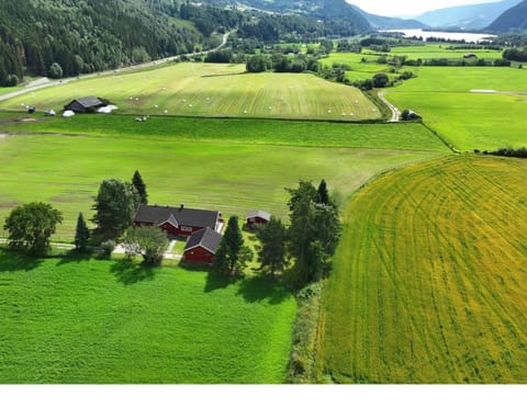 Natural landscape, Bird's eye view