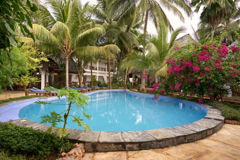 Day, Garden, Swimming pool, sunbed