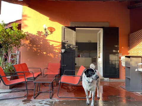 Cottages 995 #1 House in Rome