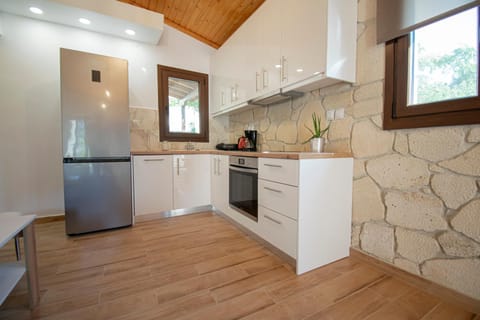 Kitchen or kitchenette, Photo of the whole room, oven, stove