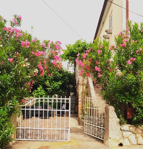 Day, Garden, Garden view