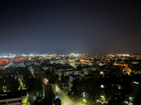 Night, Neighbourhood, Bird's eye view, View (from property/room), View (from property/room), City view, City view, Landmark view, Quiet street view, pet friendly