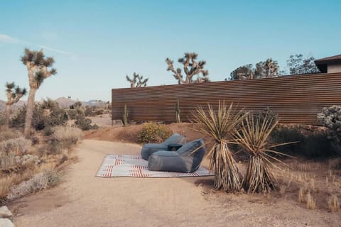 Desert Bloom By The Cohost Company House in Joshua Tree