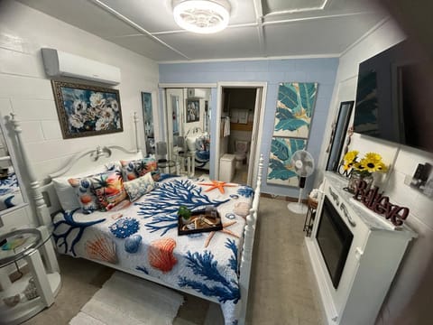 Bed, Kitchen or kitchenette, Living room, Photo of the whole room, Seating area, Bedroom