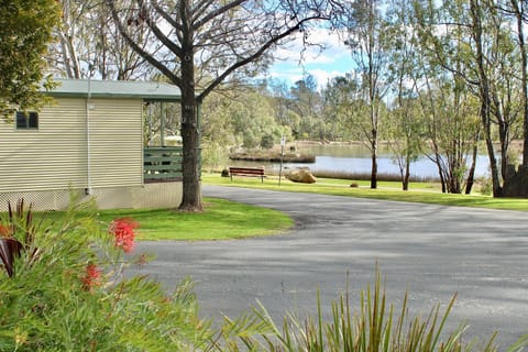 Lake view