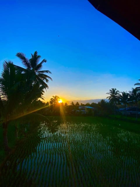 Natural landscape, View (from property/room)