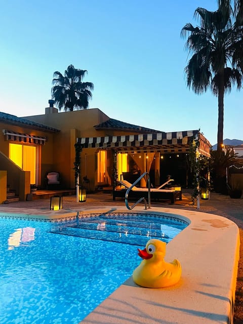 Night, Garden, Decorative detail, Pool view, Swimming pool, sunbed