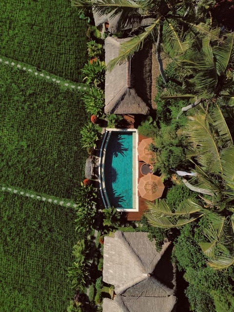 Bird's eye view, Swimming pool