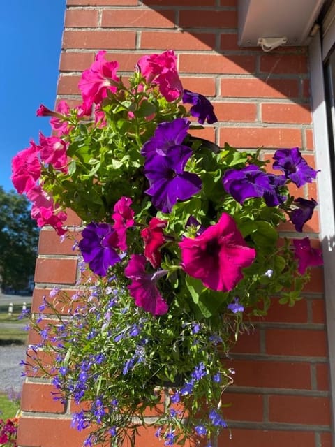 Lauralys Bed and Breakfast in Hauts-de-France