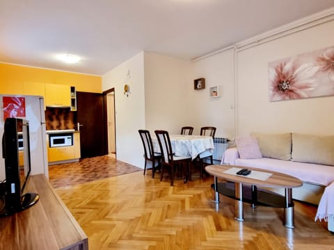 Apartment MIHA Apartment in Lika-Senj County