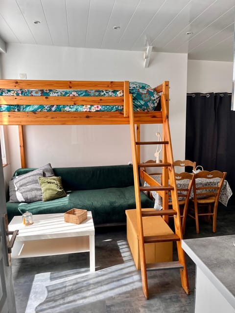 Bed, Living room, Photo of the whole room, Seating area, bunk bed