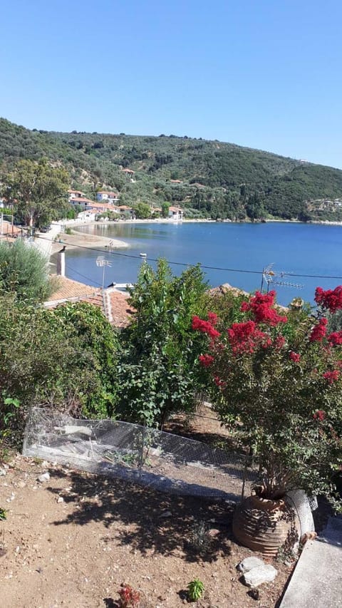 Lake view, Sea view
