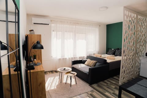 Bed, Living room, Photo of the whole room, Seating area, wardrobe, air conditioner