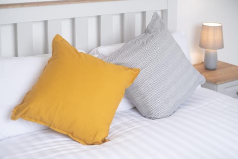 Luxury Modern PENTHOUSE, City Centre, SLEEPS 6 Apartment in Galway