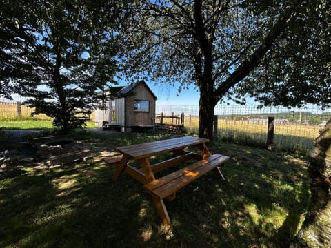 Natural landscape, Garden