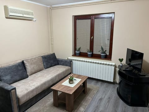 Icy Apartment Apartment in Belgrade