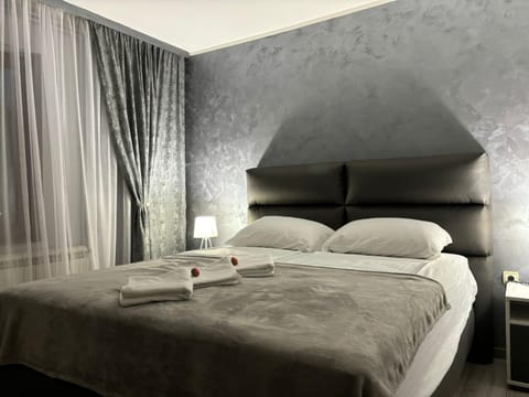 Icy Apartment Apartment in Belgrade