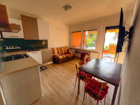 Living room, kitchen