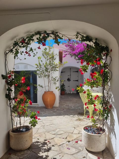 Garden, Garden view, Inner courtyard view