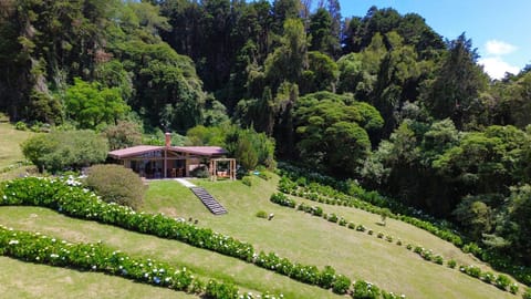 Property building, Day, Natural landscape, Garden, Garden view, Mountain view